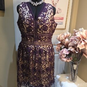 Ashley Stewart 24W  Purple and Cream Lace Midi Dress